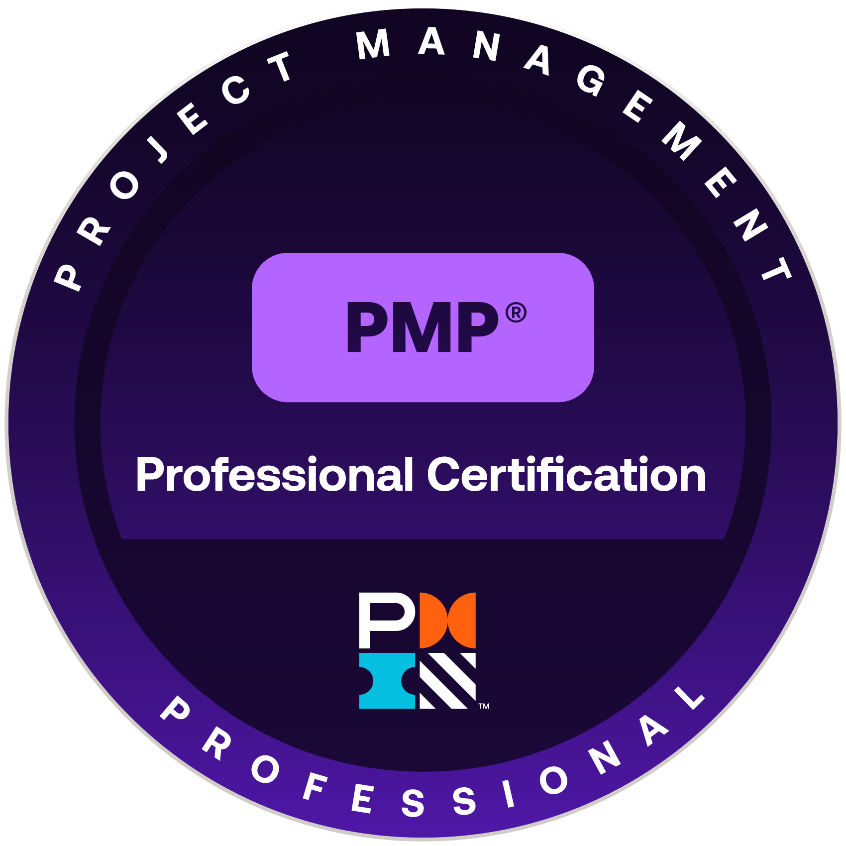 project-management-professional-pmp (2025)